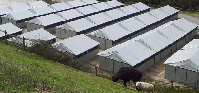 Centaure-Boxes : boxes démontables pour chevaux