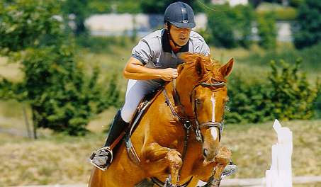 Frédéric Fischer Centaure-Boxes